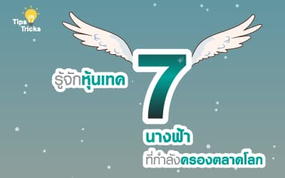 หุ้นเจ็ดนางฟ้า คืออะไร
